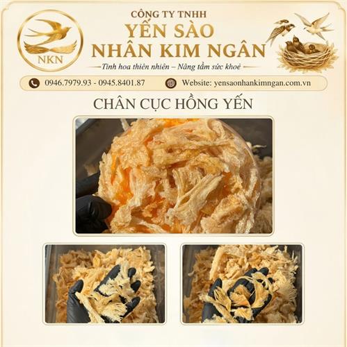 Chân Cụt Hồng Yến